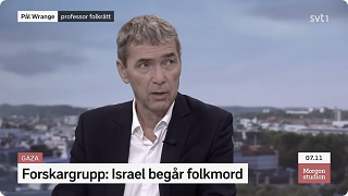 Flumprofessorn Pål Wrange ljuger i SVT om Israel