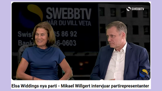 Widding och två andra partiföreträdare intervjuas