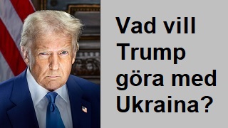 Donald Trump - 'Vad vill han göra med Ukraina?'